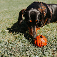 "Treat-n-play" Rubber Ball