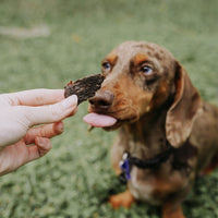 Roo Jerky Nibbles